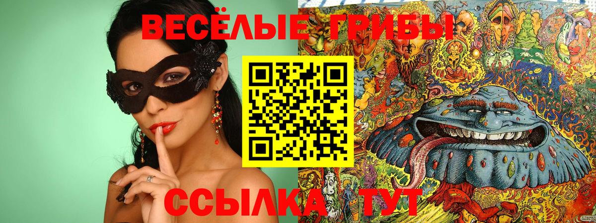 Сибай  Галлюциногенные грибы мицелий  Вход с VPN 