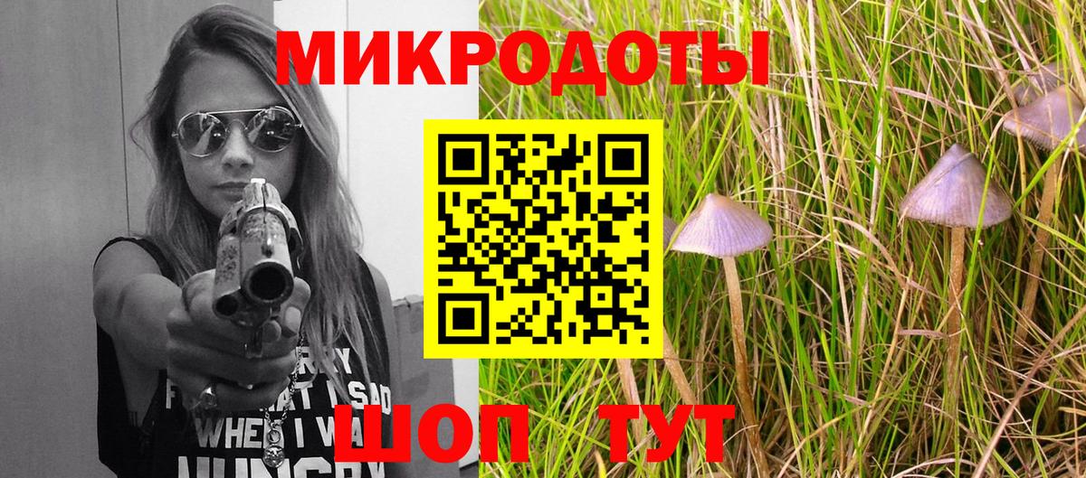 Псилоцибиновые грибы Psilocybine cubensis Сибай